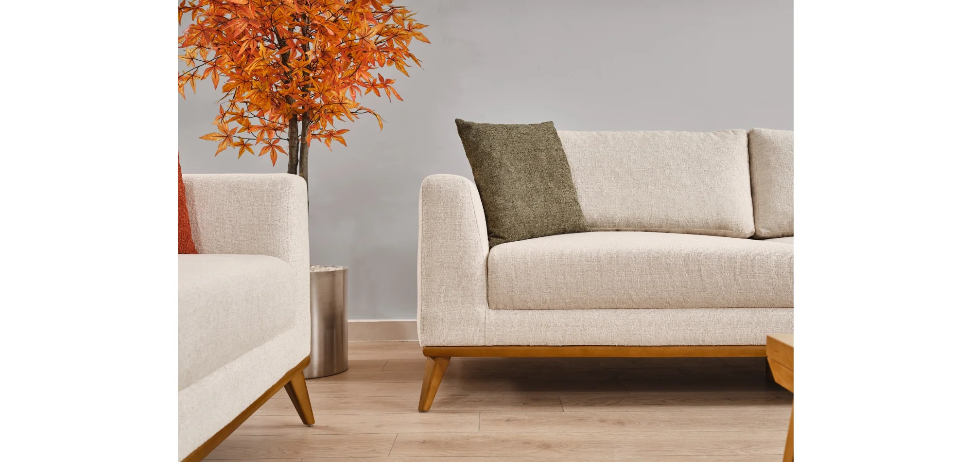 Molly Koltuk Takımı