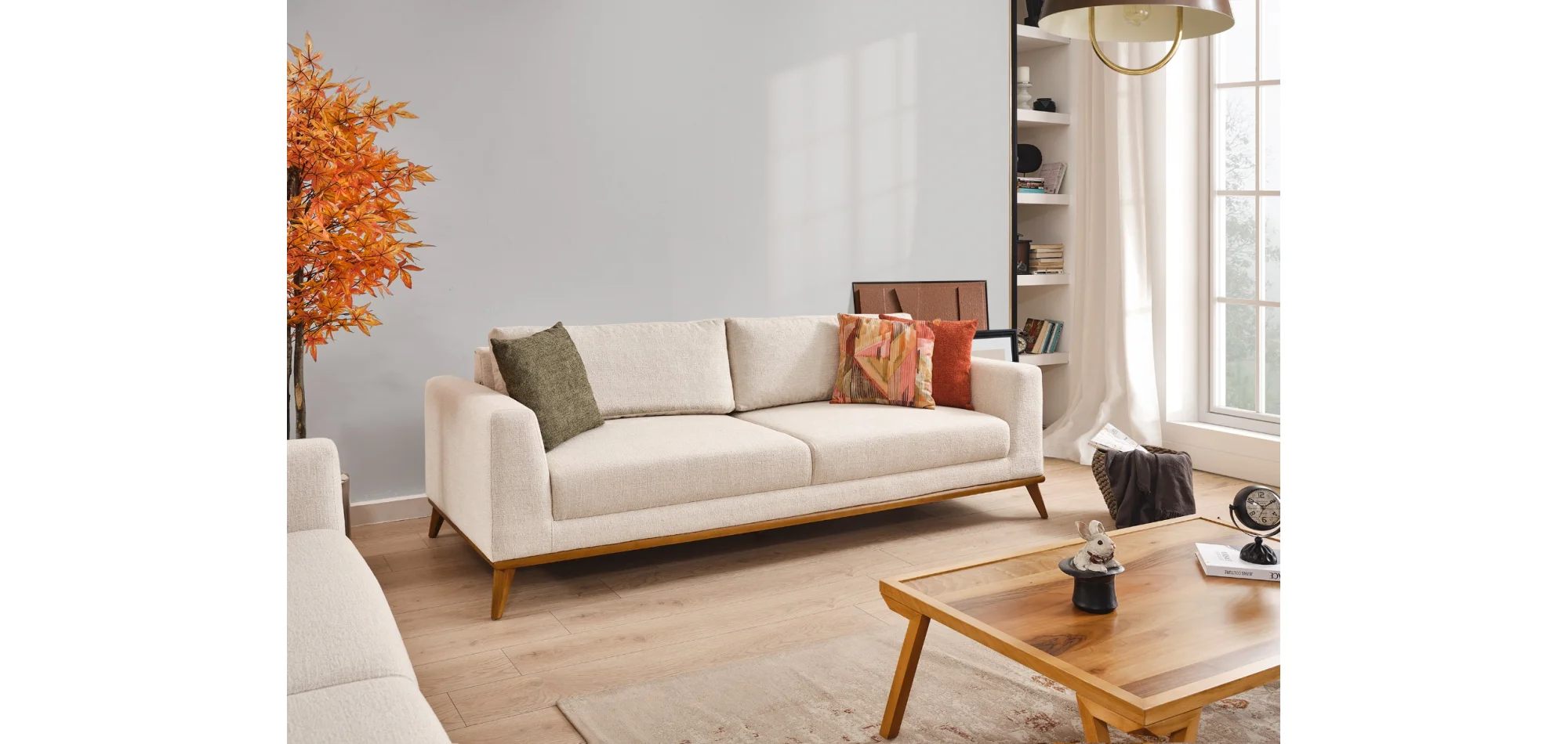 Molly Koltuk Takımı