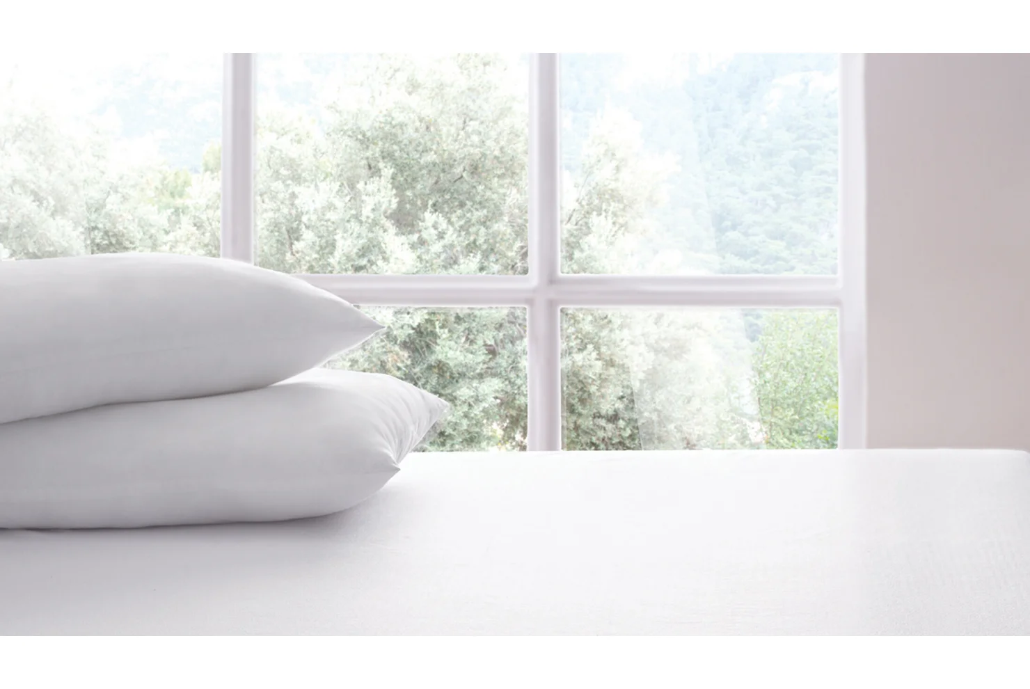 Semmy Yastık Alez (2li)