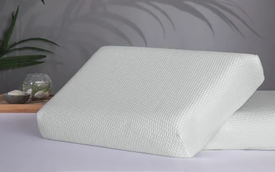 Visco Norm SPA Yastık