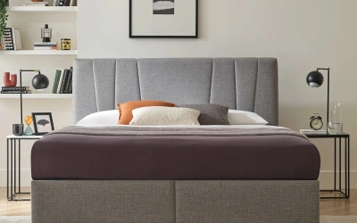 Vien Baza ve Vera Başlık 150x200