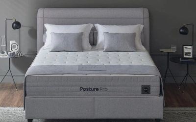 Revien Baza ve Posture Pro Başlık 90x190