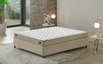 Ergowell Yatak 90x190