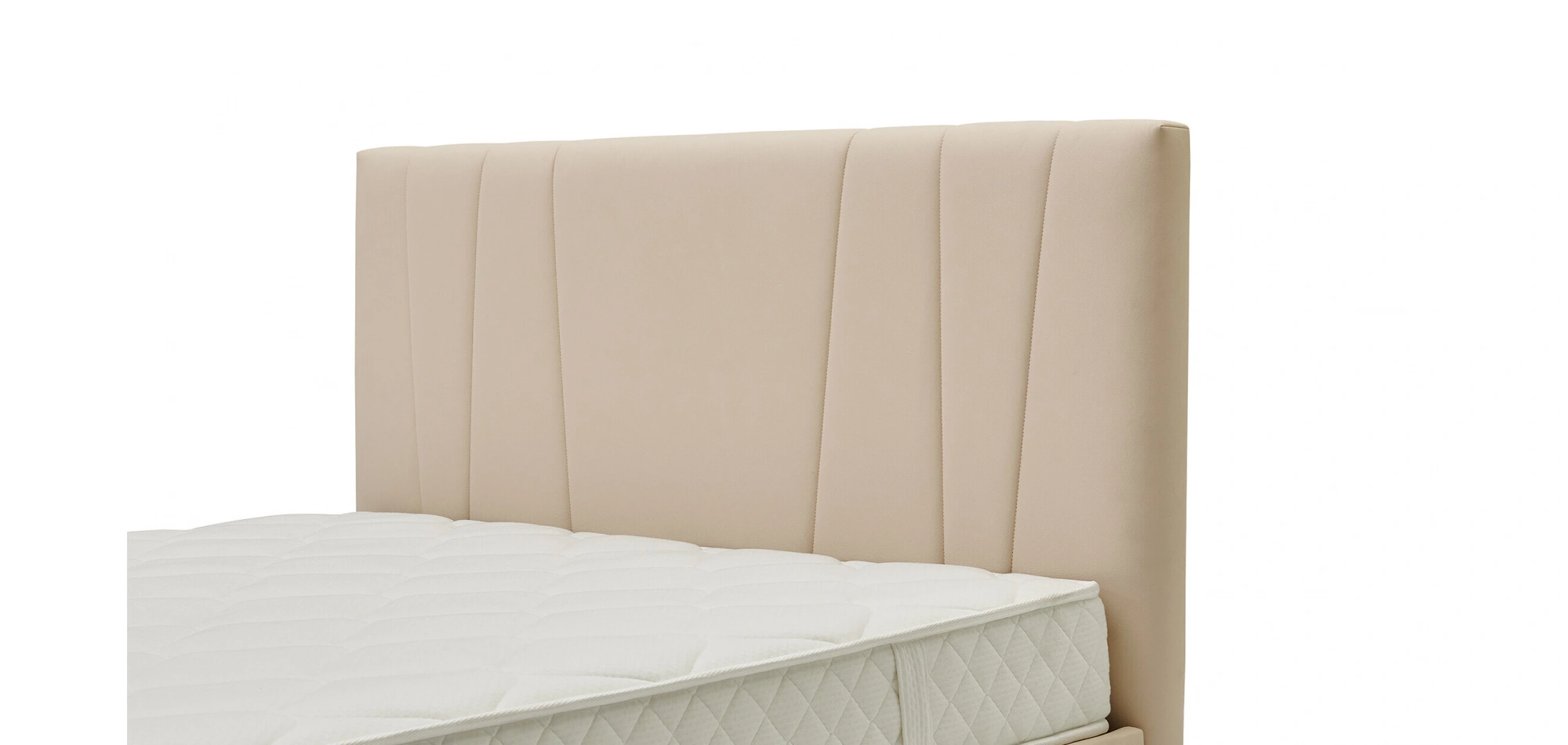 Vera Başlık 90 lık