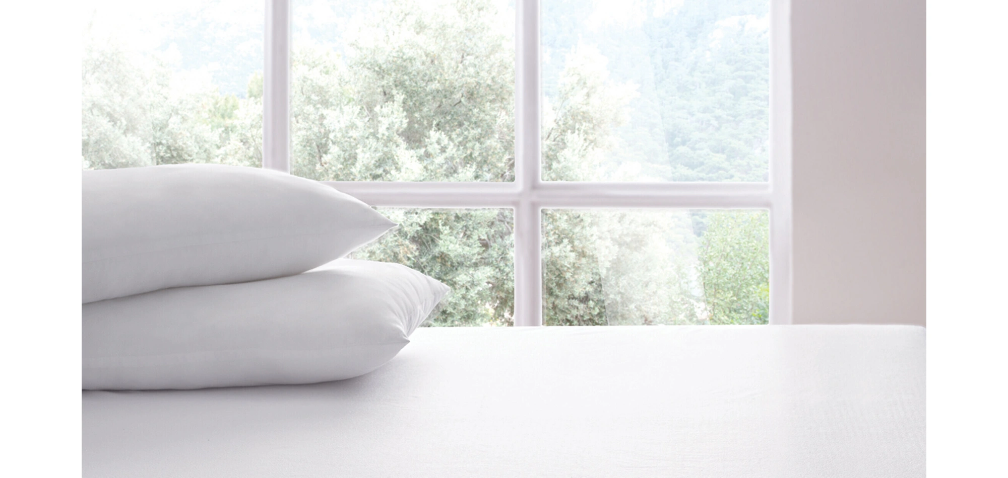 Nawell Yastık Alez (2li)