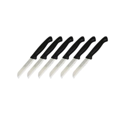 SOLİNGEN MEYVE BIÇAK ( SİYAH PLASTİK SAPLI  )*36X6