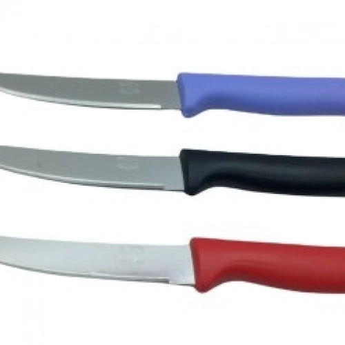 TUJO KNIVES-2280 ( TEKLİ ) ( BÜYÜK ) ( TIRTIRLI ) SEBZE & EKMEK BIÇAK ( RENKLİ PLSATİK SAPLI )*12X24