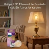PHILIPS ( 7W = 60W & E27 ) ( GOLD COLOR ) ( LED FİLAMENT & RUSTİK AMPUL ) LAMBA ( 806 LUMEN )  ( CAM GÖVDE )*4=K