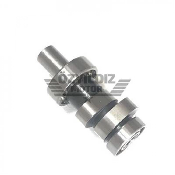 EKSANTRİK MİLİ NS200