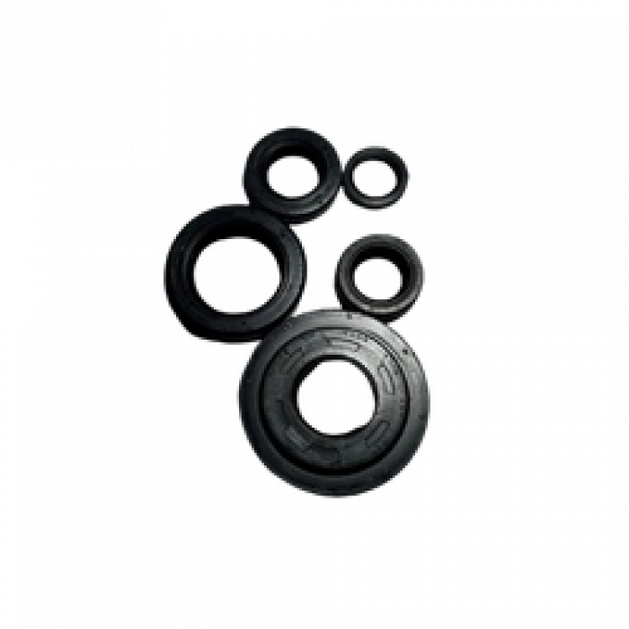 KEÇE TAKIM HONDA ACTIVA 100 INDIA