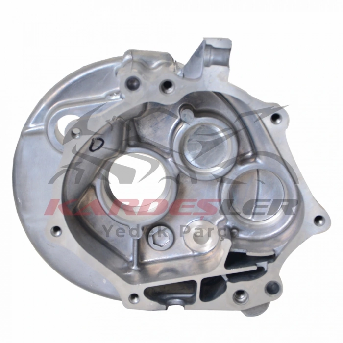 ŞANZIMAN KAPAĞI SPACY