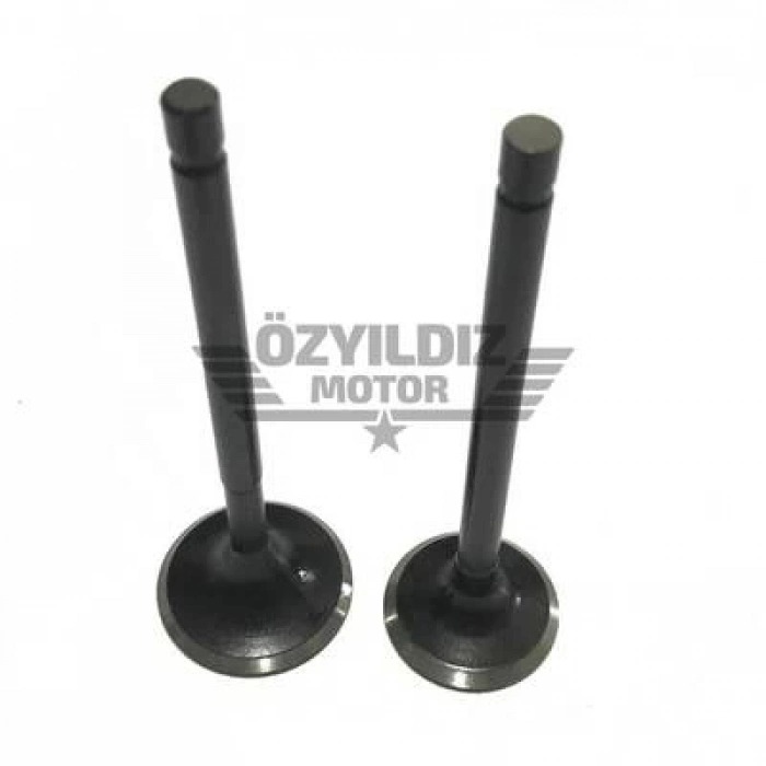 SUBAP TAKIM VE KEÇE WEGO [ORJİNAL]