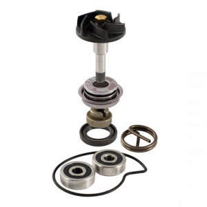 516-0004 RMS Su Pompası Tamir Kiti Beverly 250/300 05/19