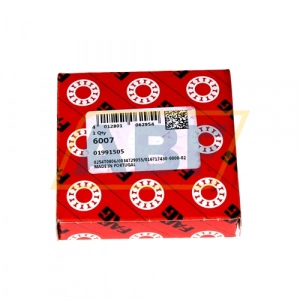 RULMAN FAG [PLASTİK KAPAKLI] 6007