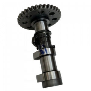 EKSANTRİK MİLİ [EX] BAJAJ DOMINAR250 [ORJİNAL]