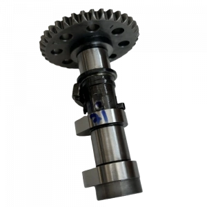 EKSANTRİK MİLİ [EX] BAJAJ DOMINAR 250 [ORJİNAL]