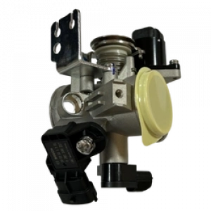 GAZKELEBEGİ CF MOTO NK250 [ORJİNAL] E5