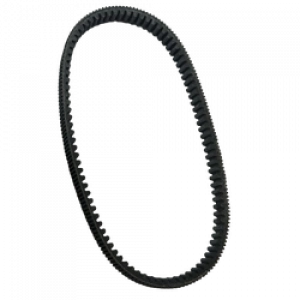 KAYIŞ FORZA [ORJİNAL] 2021