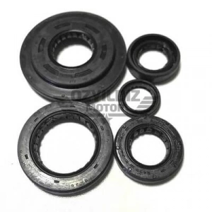 Keçe 5 Li Spacy Csr