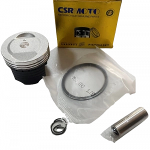 PİSTON SEGMAN WEGO 100 CSR