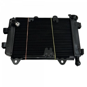 RADYATÖR BAJAJ DOMINAR 250 [ORJİNAL]