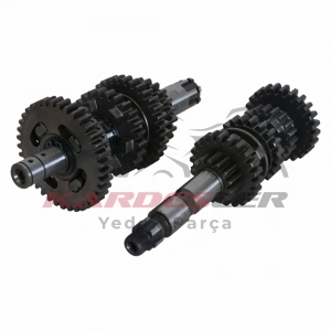 ŞANZIMAN KOMPLE - YBR