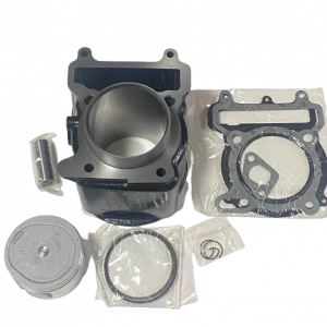 SİLİNDİR SET Yamaha XmaX 250