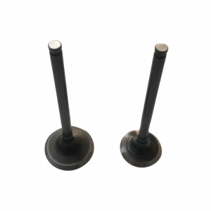 Supap Actıva S Oem T.K