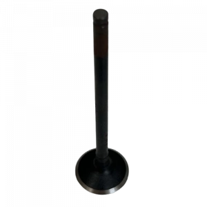 SUBAP EGZOZ DOMINAR 250 [ORJİNAL]