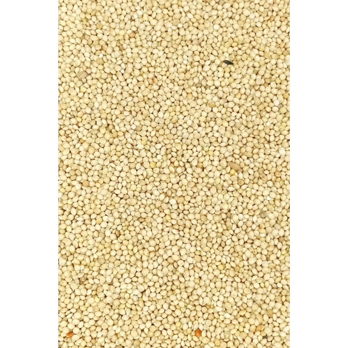 Ak Darı Sade Tozsuz Doğal Taze Kuş Yemi - 1 kg