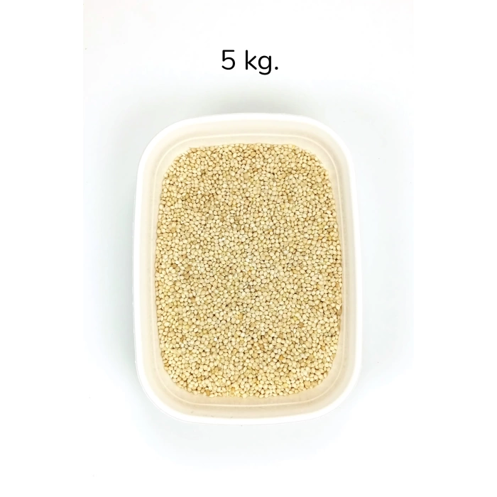 Ak Darı Sade Tozsuz Doğal Taze Kuş Yemi - 5 kg