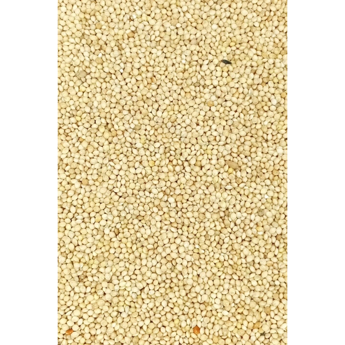 Ak Darı Sade Tozsuz Doğal Taze Kuş Yemi - 5 kg