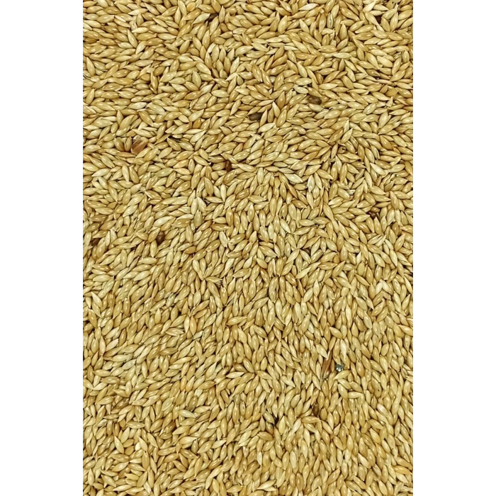 Doğal Taze Kanarya Sade Kuş Yemi - 10 kg