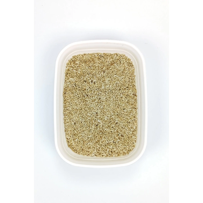 Doğal Taze Kanarya Sade Kuş Yemi - 3 kg