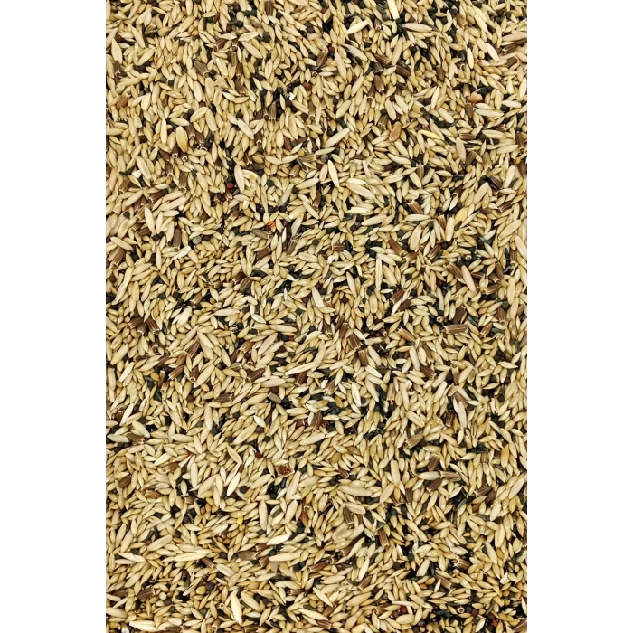Kanarya Karışık Kuş Yemi Doğal Taze - 10 kg