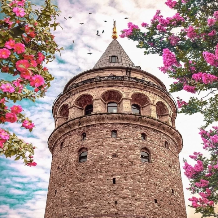 Kanvas Sayılarla Boyama Seti Kasnaklı-çerçeveli Galata Rüyasi
