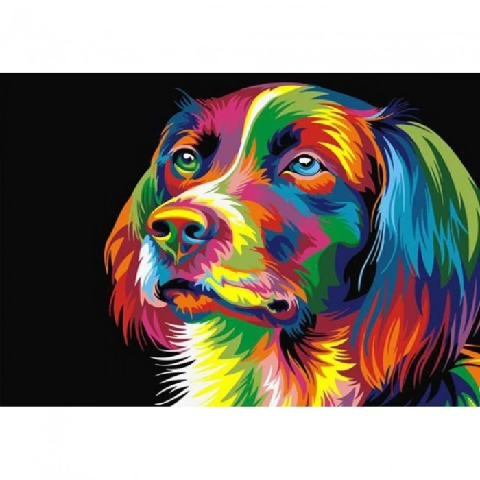Kanvas Sayılarla Boyama Seti Kasnaklı-çerçeveli Renkli Köpek