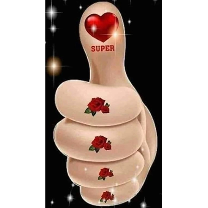 Kanvas Sayılarla Boyama Seti Kasnaklı-çerçeveli Süper El