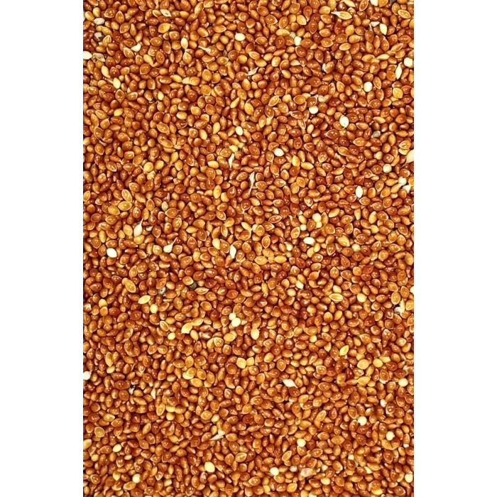 Kırmızı Darı Sade Tozsuz Doğal Taze Kuş Yemi - 5 kg