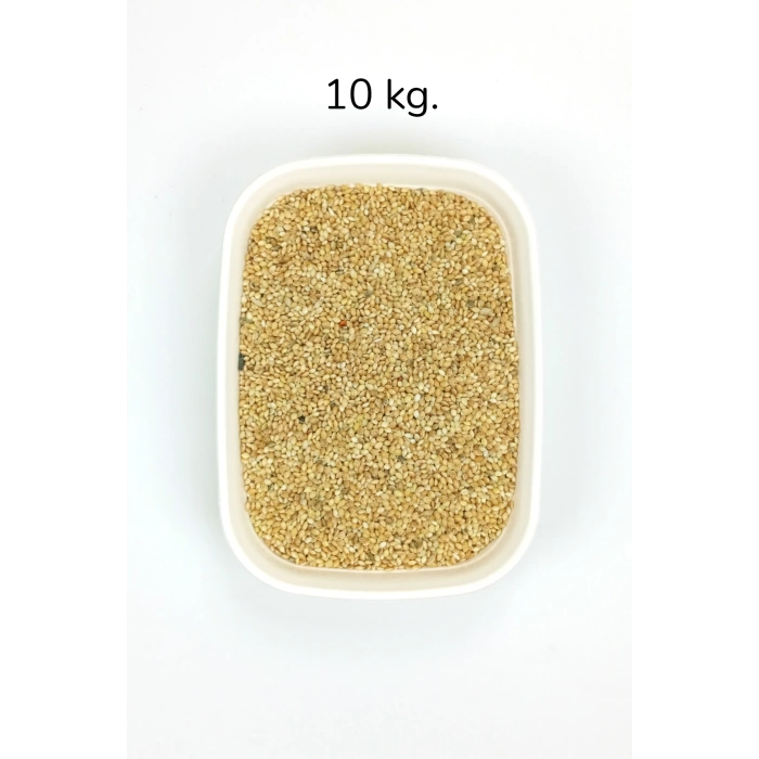 Muhabbet ve Tüm Egzotik Kuşlar İçin Doğal Taze Tane Sarı Darı - 10 kg