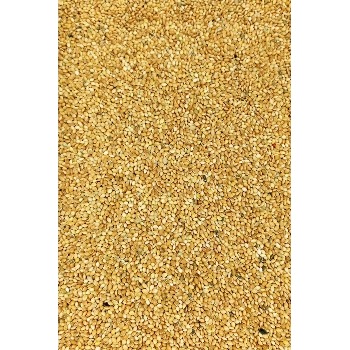 Muhabbet ve Tüm Egzotik Kuşlar İçin Doğal Taze Tane Sarı Darı - 3 kg