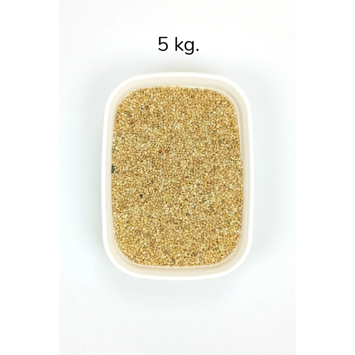 Muhabbet ve Tüm Egzotik Kuşlar İçin Doğal Taze Tane Sarı Darı - 5 kg