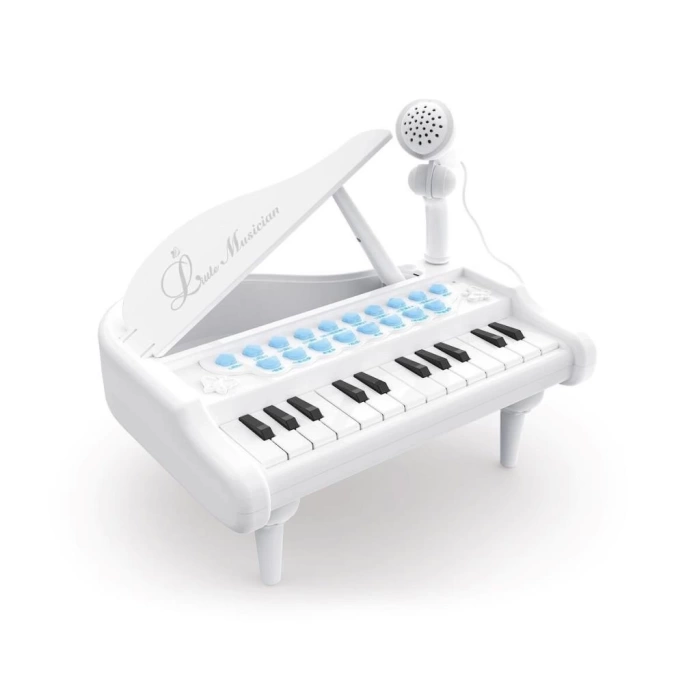 Nessiworld  BAO-1505A Mikrofonlu Mini Piano 24 Tuş MP3 Çalar