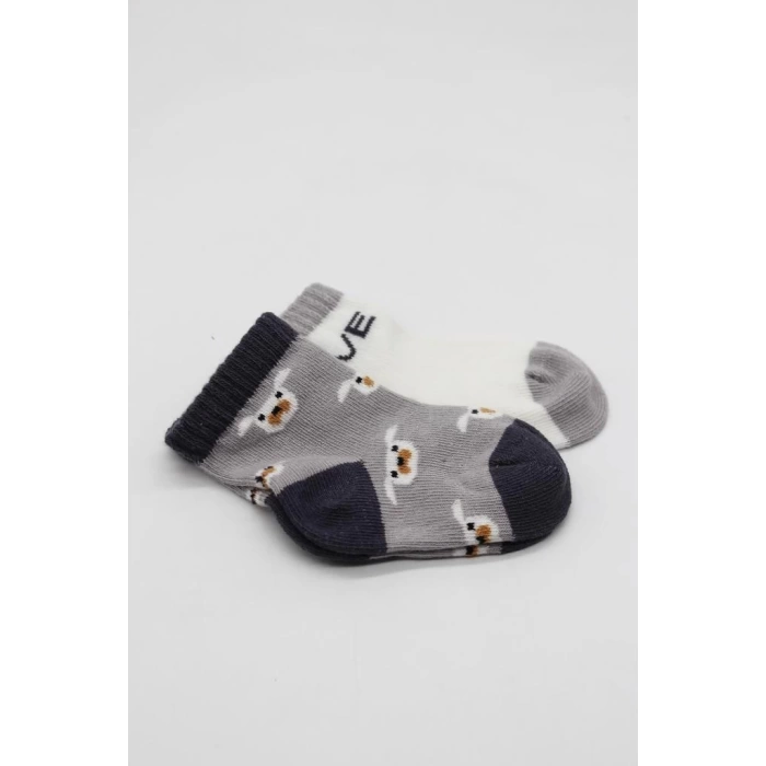 Nessiworld Bistyle Love Dog Penye Soket Çorap 2Li BS10118 Gri