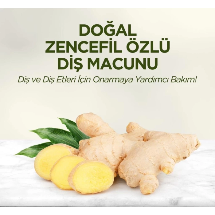 Nessiworld Eyüp Sabri Tuncer Doğal Diş Macunu 90 Gr Zencefil Özlü