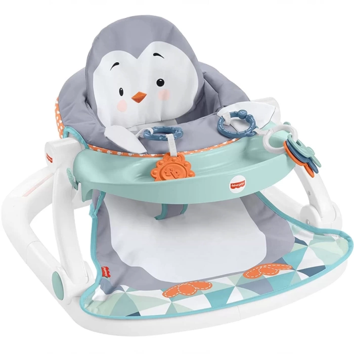 Nessiworld Fisher Price Tepsili Ana Kucağı HBF27