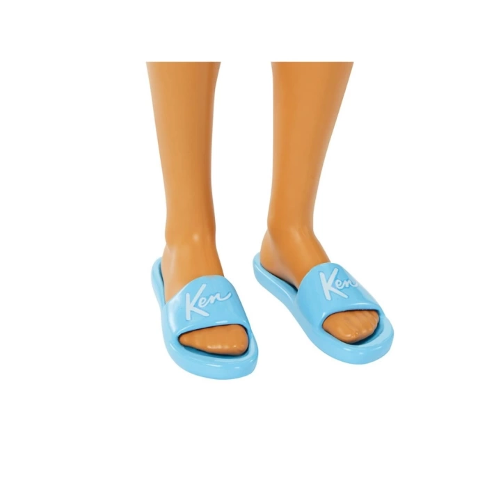 Nessiworld HPL74 Barbie Plaj Günü Oyun Seti -Ken