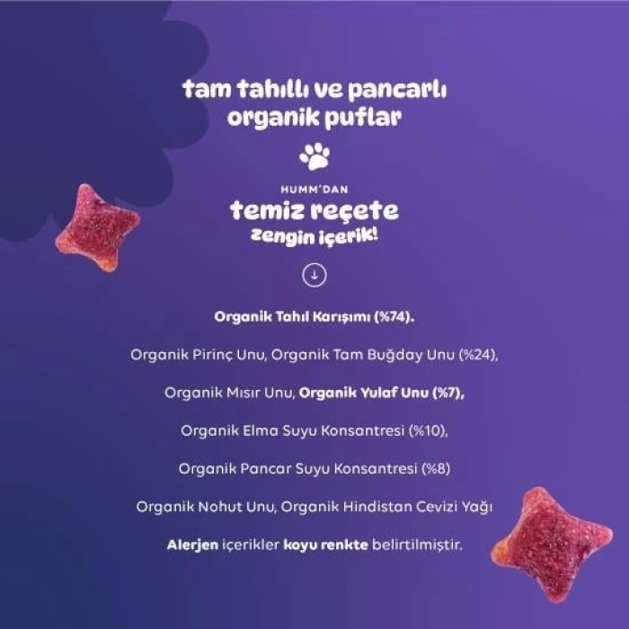 Nessiworld Humm Organik Pancarlı ve Tam Tahıllı Puflar 30 Gr