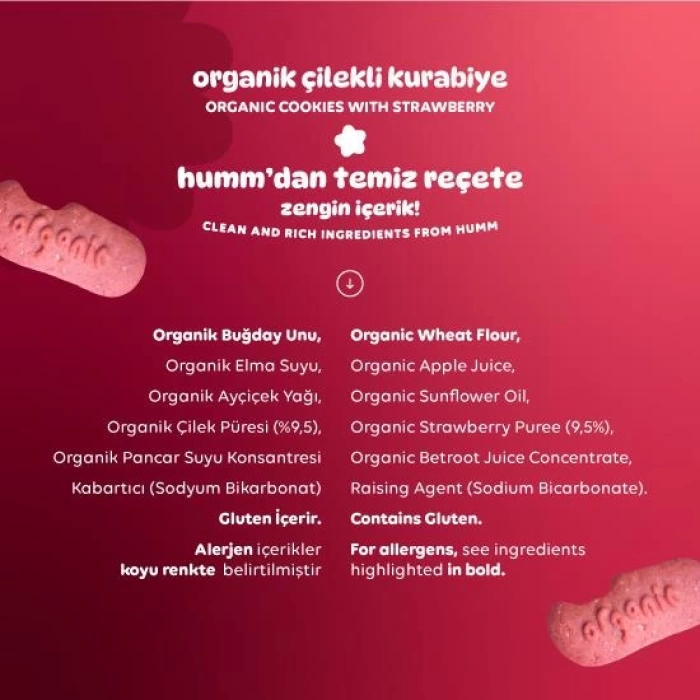 Nessiworld Humm Organik Vegan Çilekli Kurabiye 55 Gr