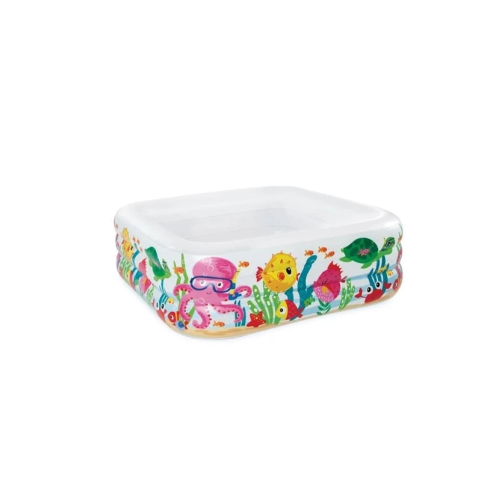 Nessiworld  IH57471 Intex Akvaryum Desenli Kare Havuz 159x159x50cm